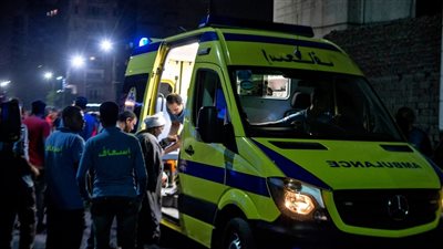 مقتل 15 شخصا في حادث سير مروّع بمصر