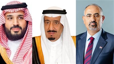 الرئيس الزُبيدي يُهنئ خادم الحرمين الشريفين وولي عهده بيوم التأسيس