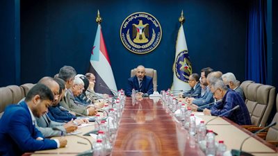 الرئيس الزُبيدي يشدد على أهمية التكامل بين هيئات المجلس الانتقالي