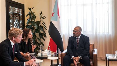 الرئيس الزُبيدي يناقش مع المبعوث الأممي جهود إعادة إحياء مسار السلام والعملية السياسية