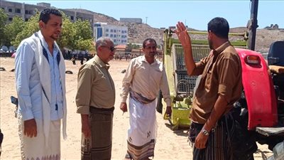 أعمال نظافة واسعة بسواحل أبين وصيرة وجولد مور في العاصمة عدن