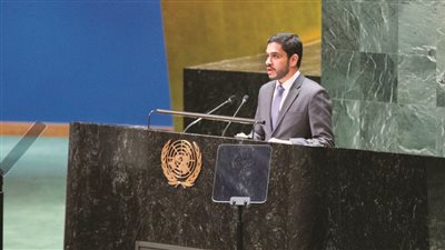 الإمارات تدعو إلى ضرورة وضع معايير محددة لاستخدام الفيتو