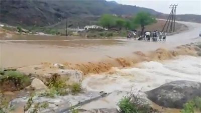 الأرصاد يتوقع هطول أمطار رعدية في عدد من محافظات الجنوب 