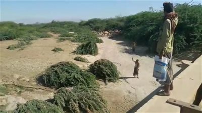 اللجنة الزراعية بزنجبار تتفقد تصفية منظومة الري في المخزن والقريات