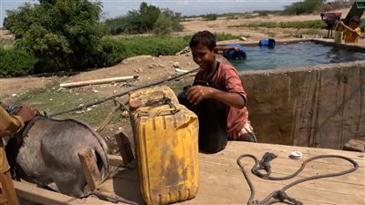 شحة المياه تفاقم معاناة أهالي المحواسة بأبين.. ومناشدات لحفر بئر للقرية