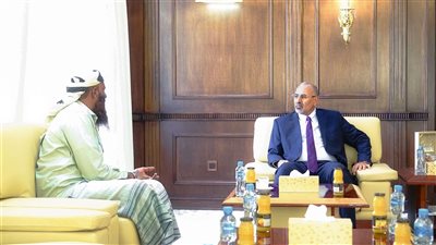  الرئيس الزُبيدي يطّلع على الأوضاع في جزيرة ميون