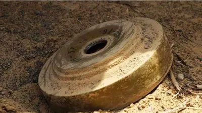 مصرع 3 أشقاء بانفجار لغم قديم في الجزائر