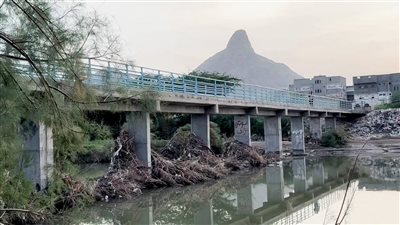 مناشدات لقيادة شبوة بإغاثة مناطق بيحان المتضررة بالسيول