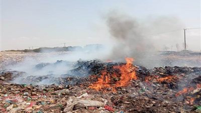 جمارك المنطقة الحرة بالعاصمة عدن تُتلف شحنة جديدة من الدجاج المجمد