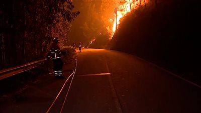 مقتل وإصابة 64 شخصاً بحرائق الغابات في البرتغال