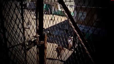 كبرى المنظمات الأممية تطالب بسرعة الإفراج عن المحتجزين في سجون الحوثي 