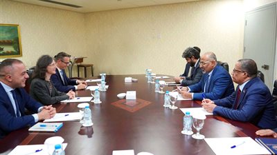 الرئيس الزُبيدي يبحث مع سفيرة فرنسا سبل تنسيق الجهود المشتركة لإحلال السلام في المنطقة