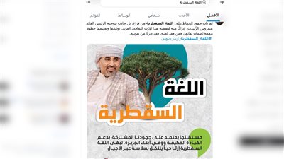 انطلاق حملة إلكترونية للاحتفاء بيوم اللغة السقطرية