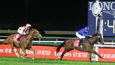 قرعة النسخة الـ 29 من كأس دبي العالمي للخيول تسحب اليوم