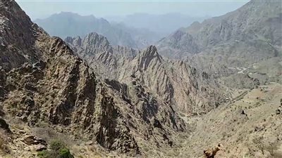 مدير عام حالمين بلحج يتفقد سير العمل في مشروع طريق الشهيد شريبة