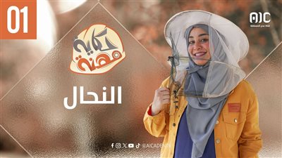 حكاية مهنة | النحّال