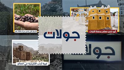 جولات | كنوز الجنوب.. من بُن لحج العريق إلى تراث أبو خنجر وقرية أرحب التاريخية