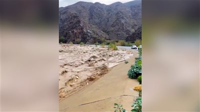 وفاة طفلين غرقا بسيول أمطار المنخفض الجوي في بيحان شبوة