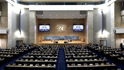 منظمة دولية تدعو لهيكلة مجلس القيادة وتشكيل حكومتين للشمال والجنوب